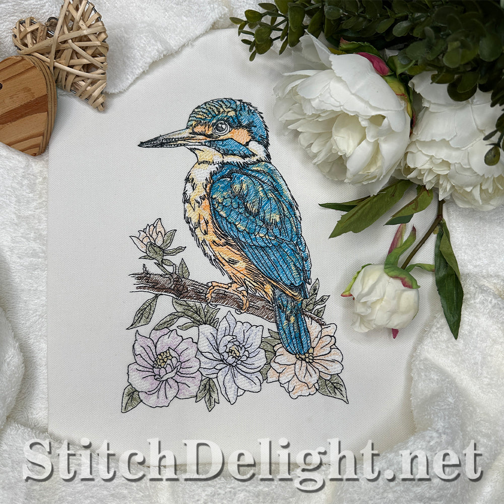 SDS4674 Kingfisher Bird