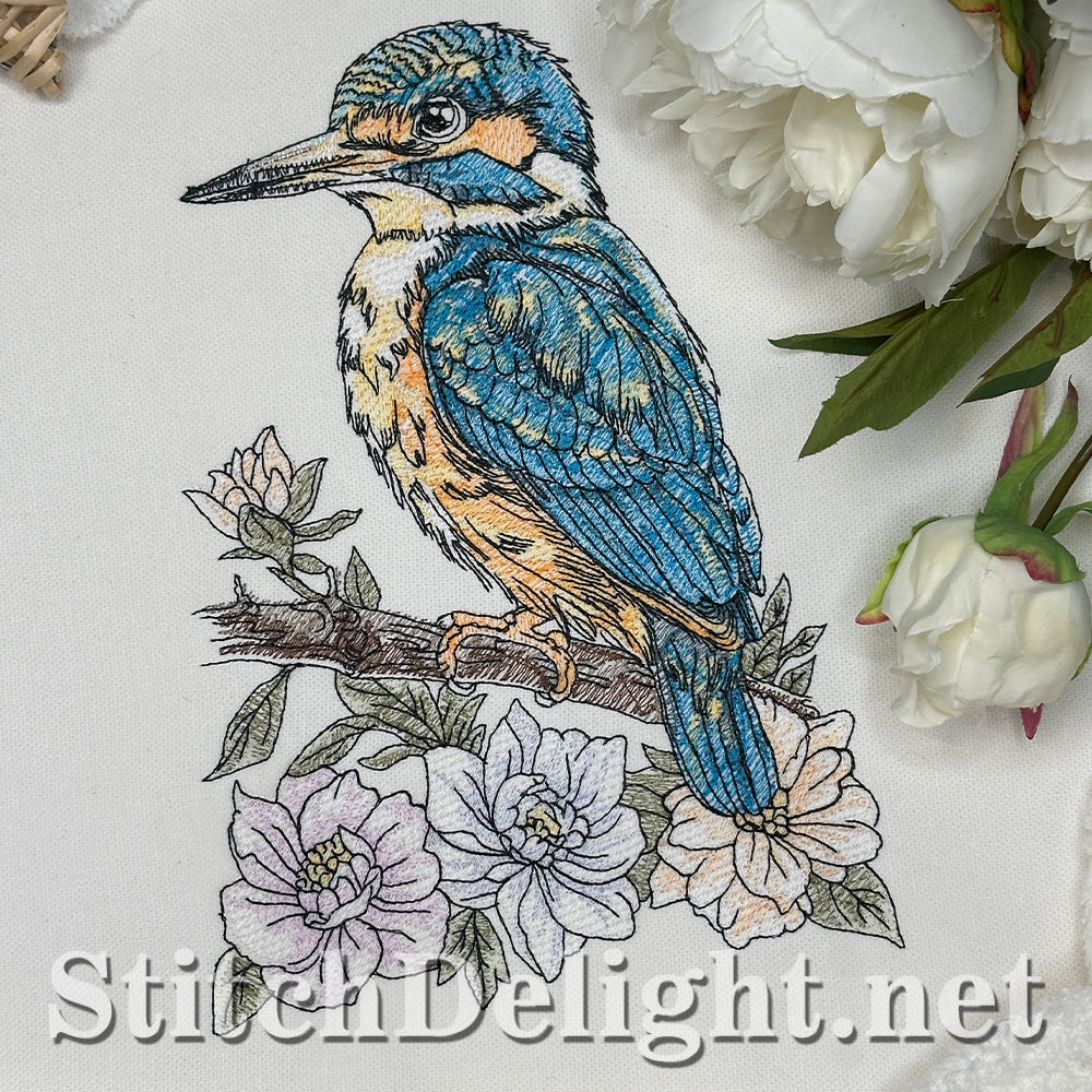 SDS4674 Kingfisher Bird