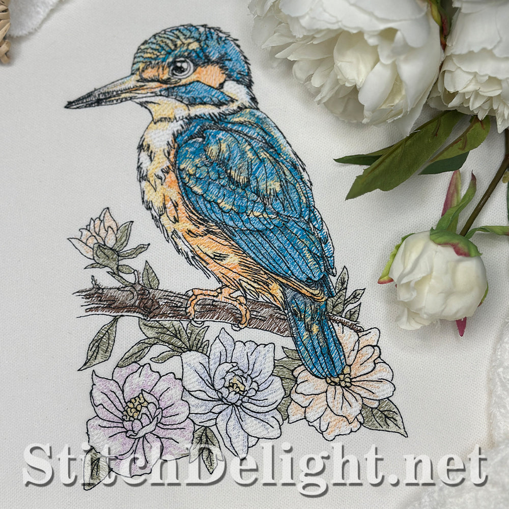 SDS4674 Kingfisher Bird