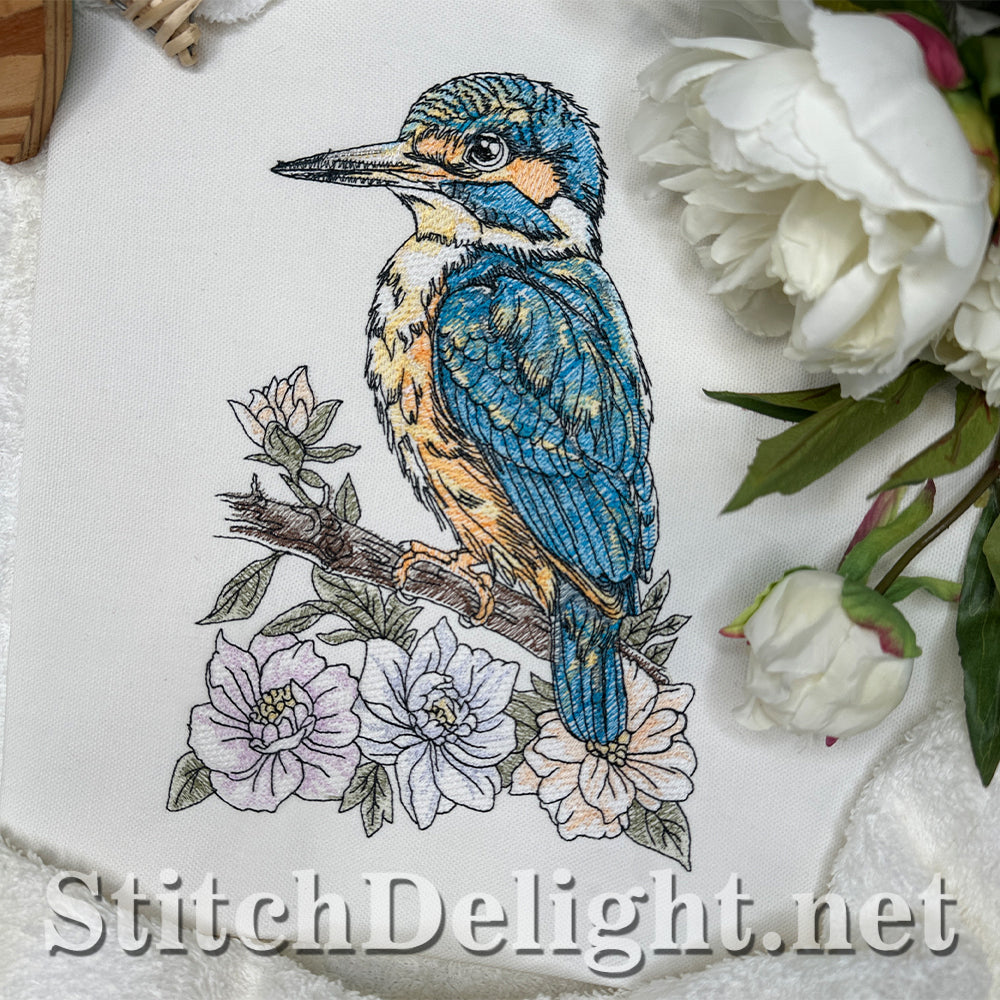 SDS4674 Kingfisher Bird