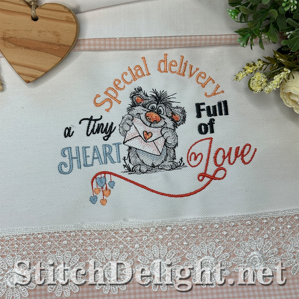 SDS4691 Special Delivery Scruffy