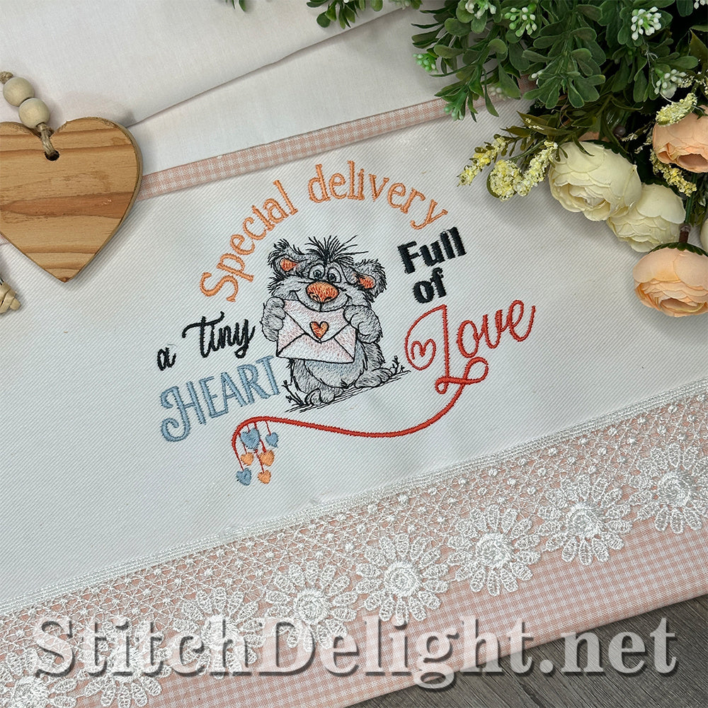 SDS4691 Special Delivery Scruffy