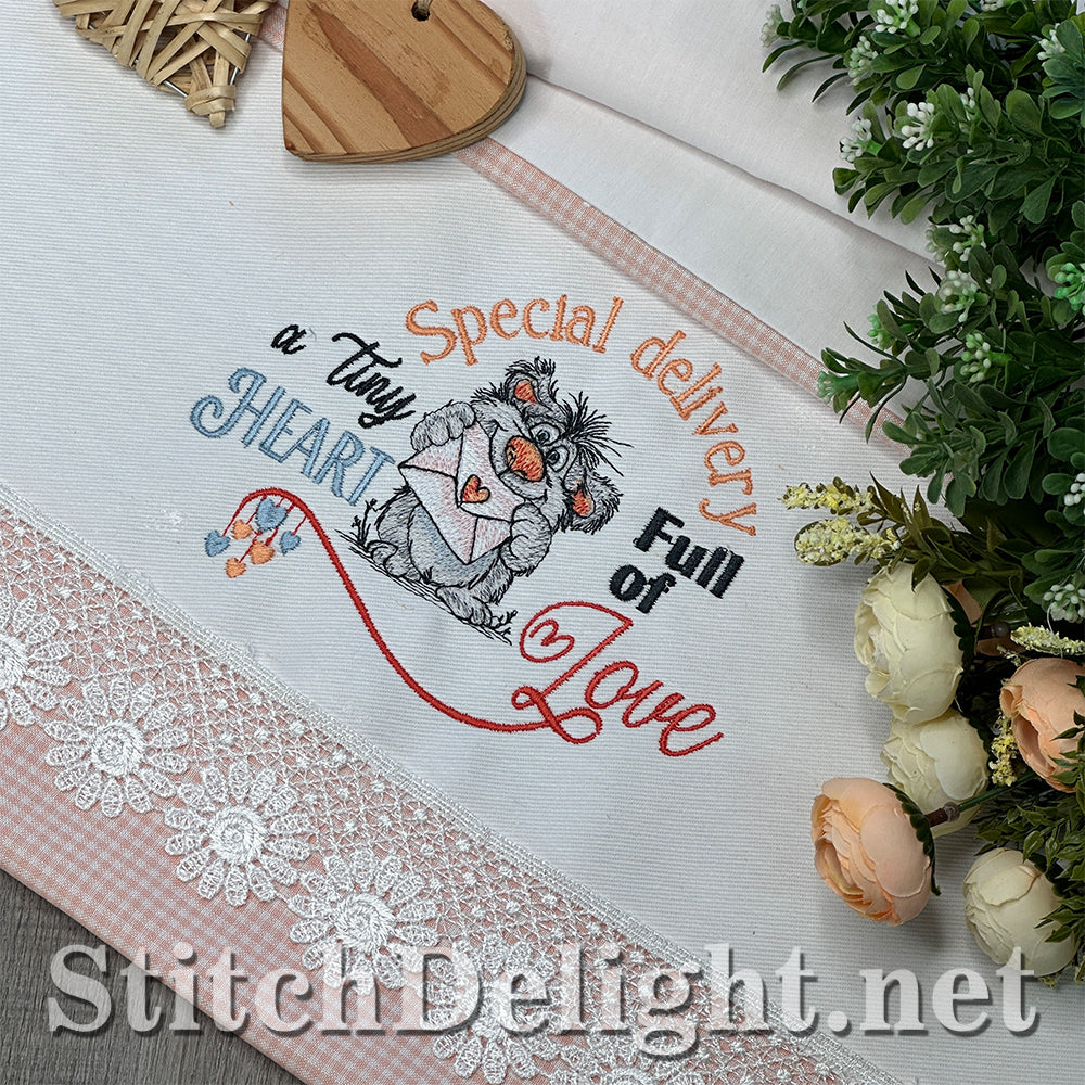 SDS4691 Special Delivery Scruffy