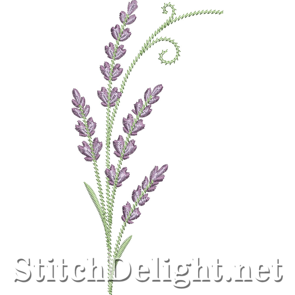SDS4817 Lavender Melody
