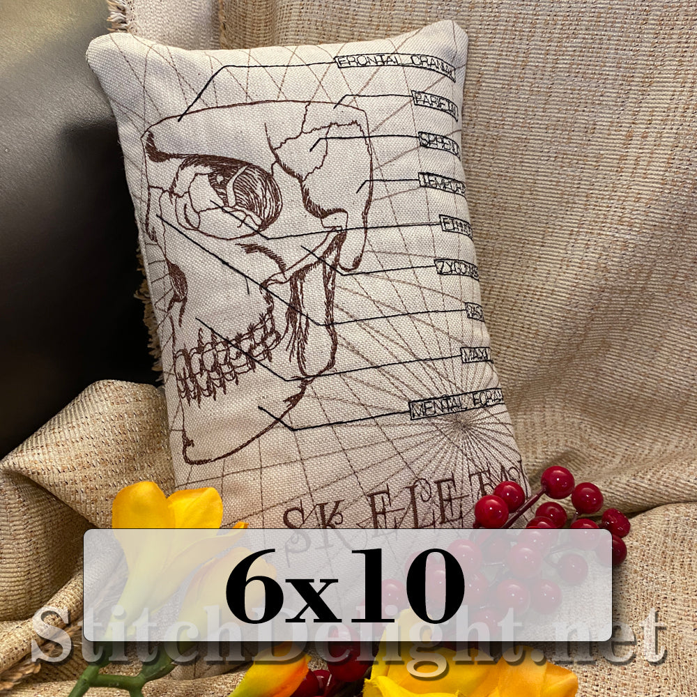 SDS3130 Skeletal Skull 6X10