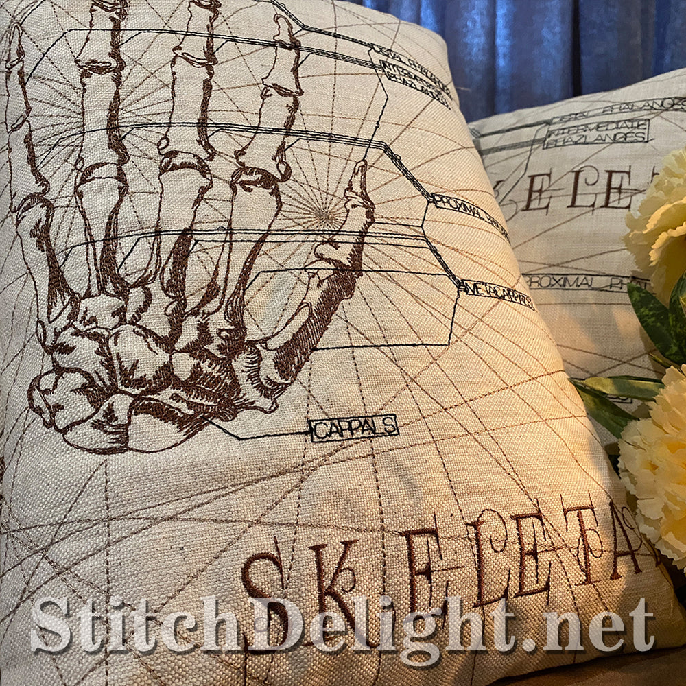 SDS3129 Skeletal Hand 6X10
