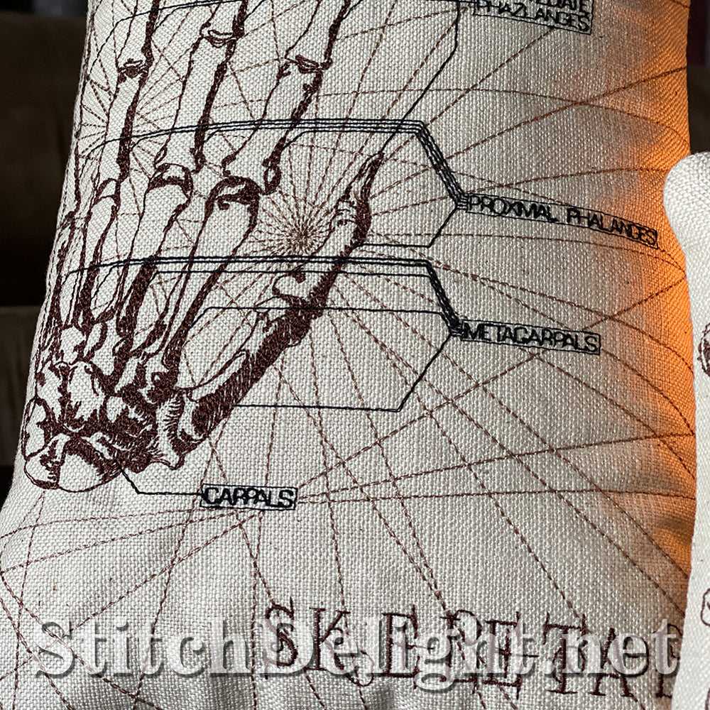 SDS3129 Skeletal Hand 6X10