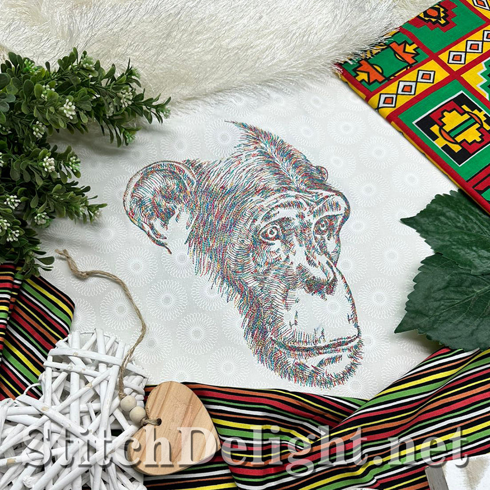 SDS4205 Pencil Sketch Chimp