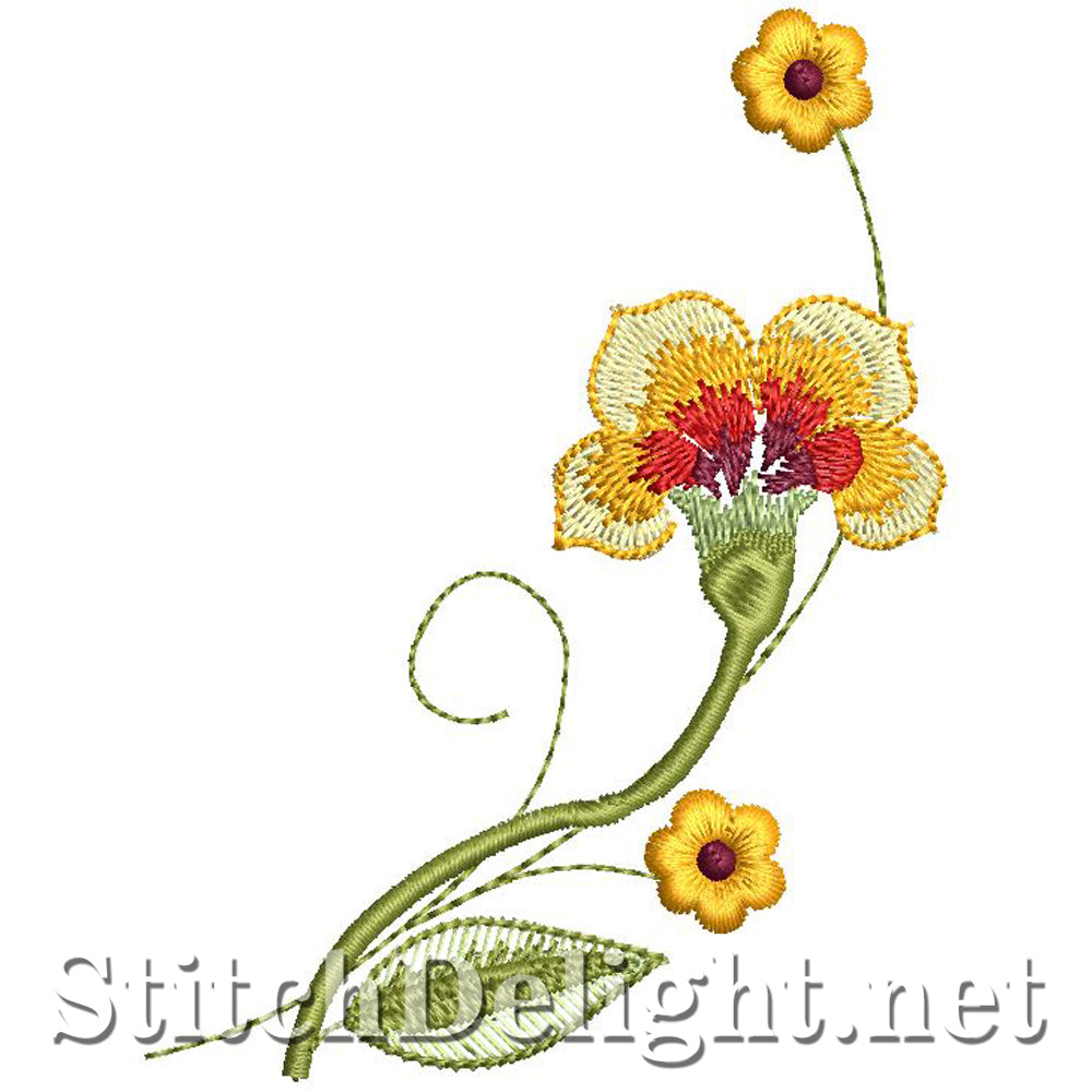 SD0909 Nasturtium Delight 3