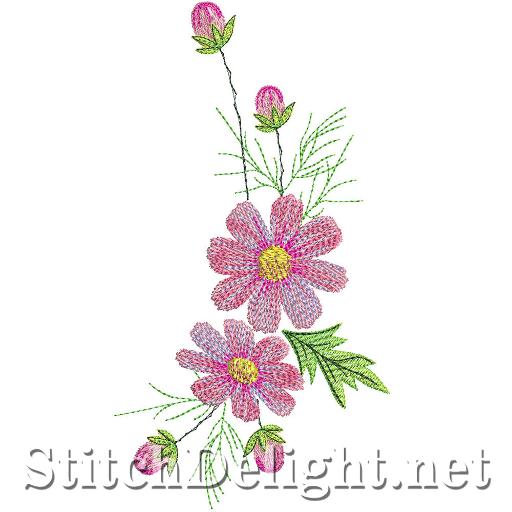 SDS1003 Cosmos Flowers