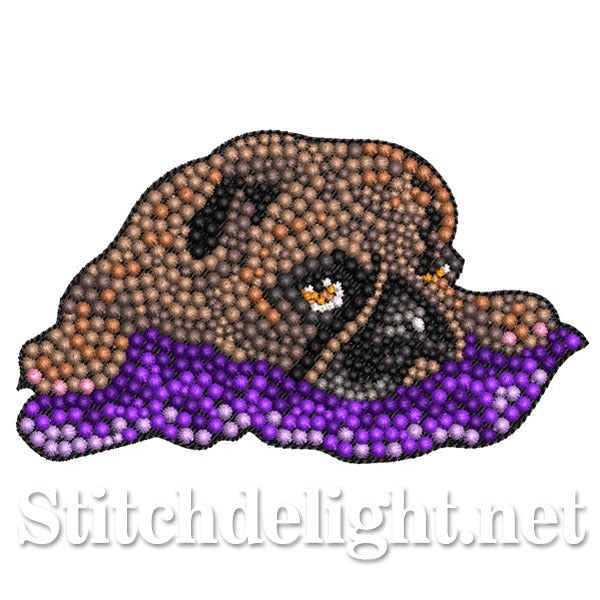SDS0247 Pug