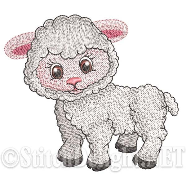 Moutons d'élevage SD1381