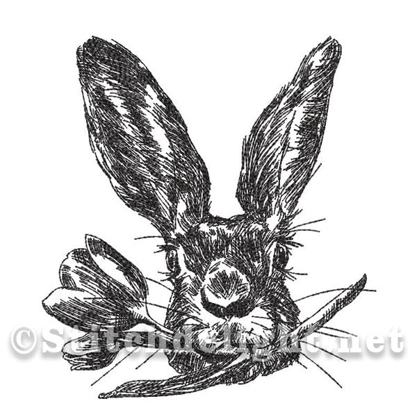 SD1394 Croquis au crayon Peter Rabbit