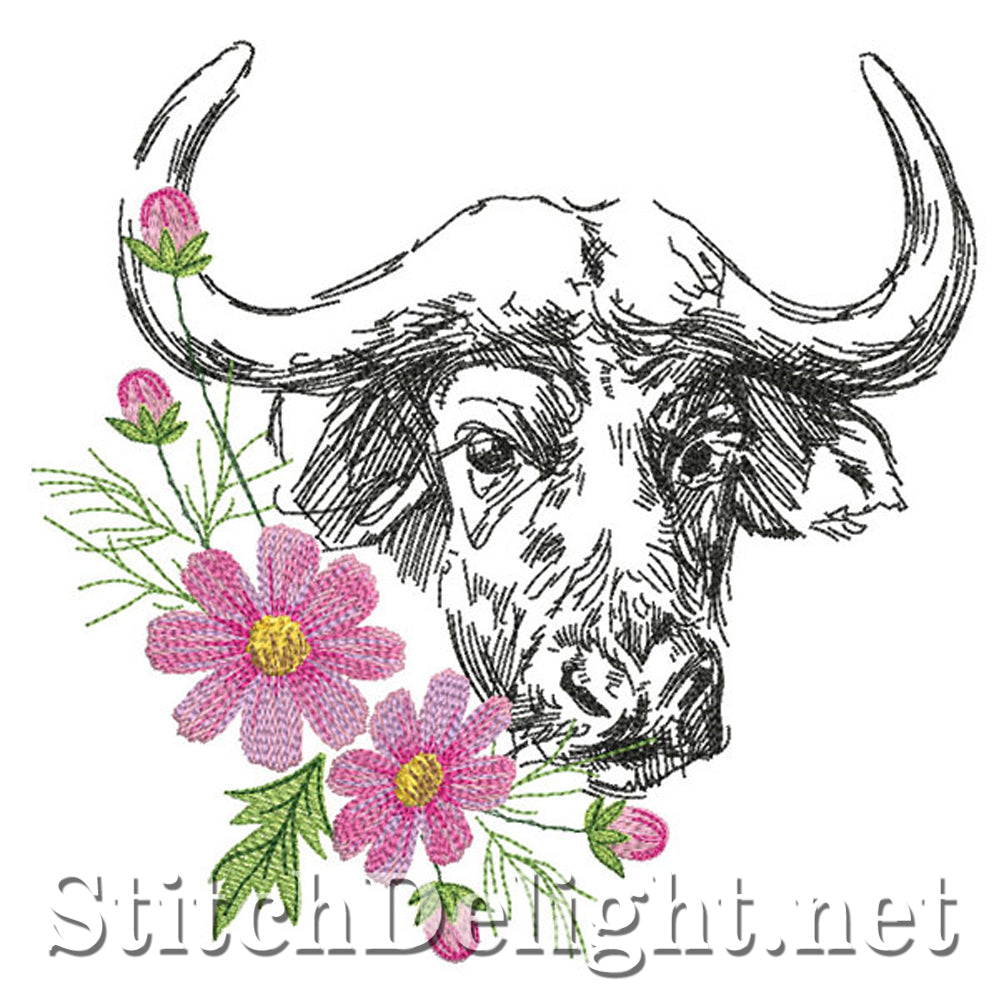 SDS0752 Cosmos Buffalo