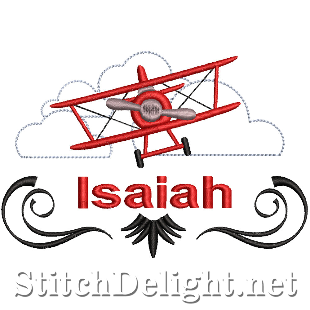 SDS2970 Isaiah