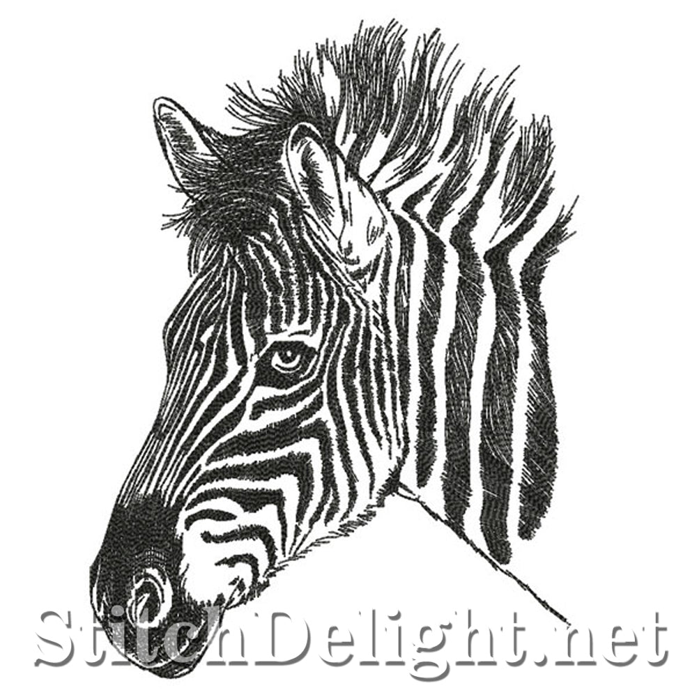 SDS0768 Croquis au crayon Zèbre