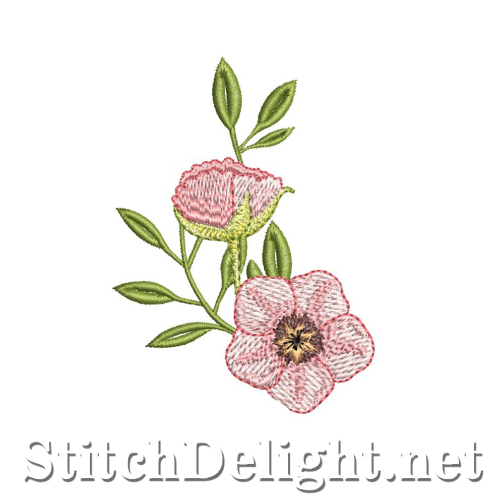 SDS4130 Rose
