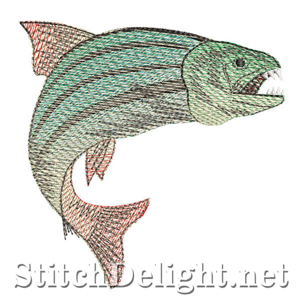 SDS0013 Poisson Tigre