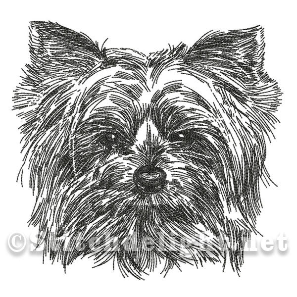 SDS0477 Croquis au crayon Yorkie