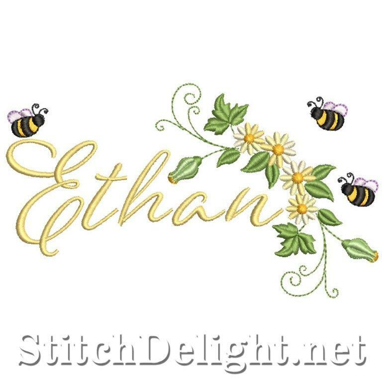 SDS1937 Ethan