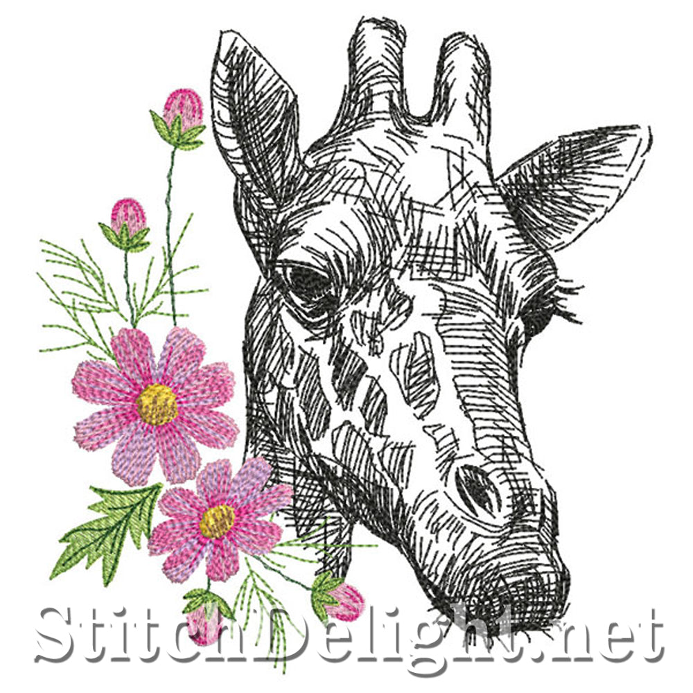 SDS0750 Cosmos Giraffe