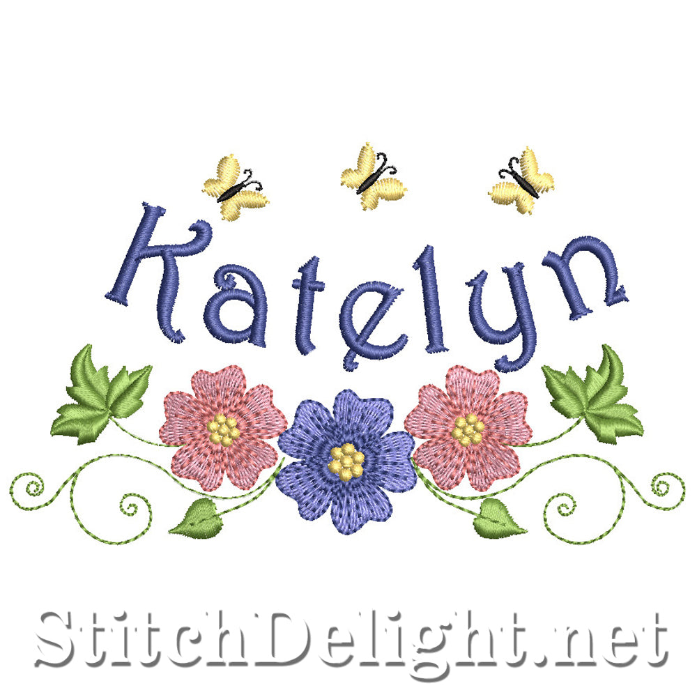 SDS2345 Katelyn