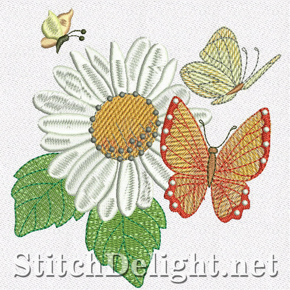 SD1161 Daisy Dreams
