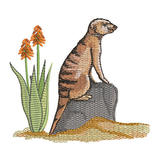 SDS0136 Meerkat