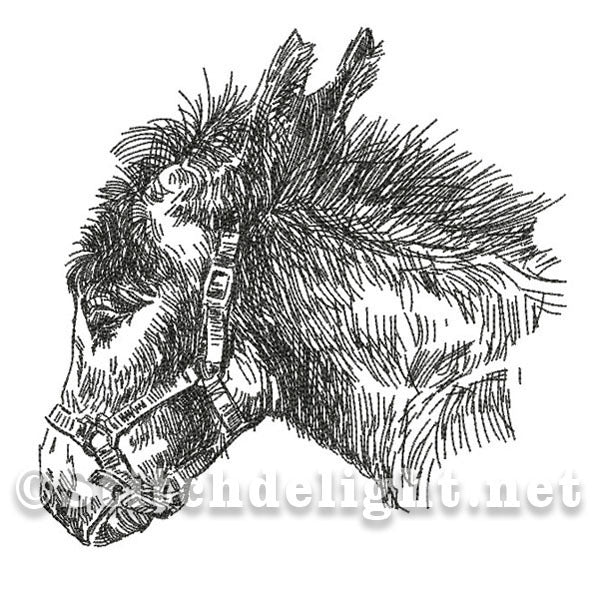 SDS0476 Croquis Au Crayon Âne