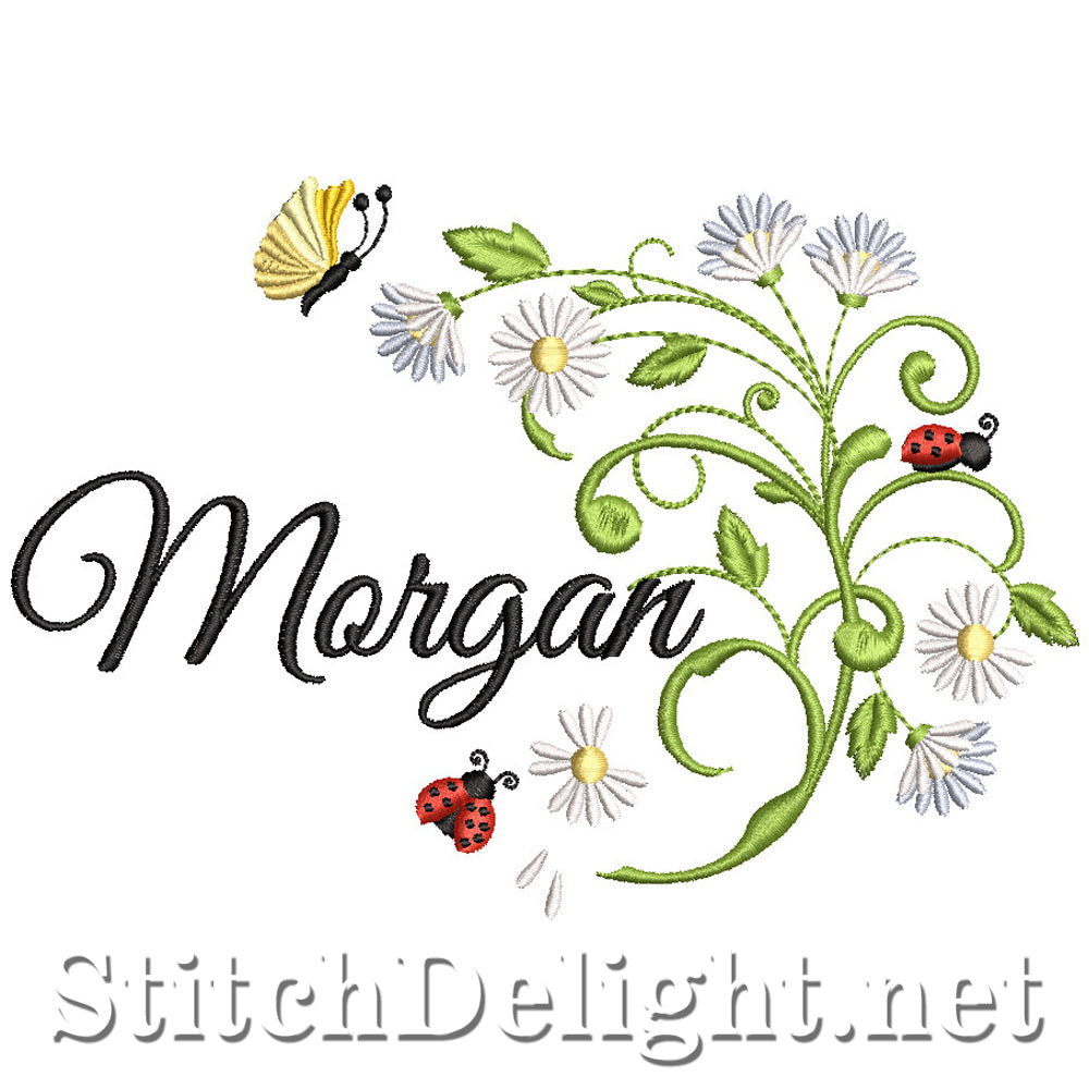 SDS2170 Morgan