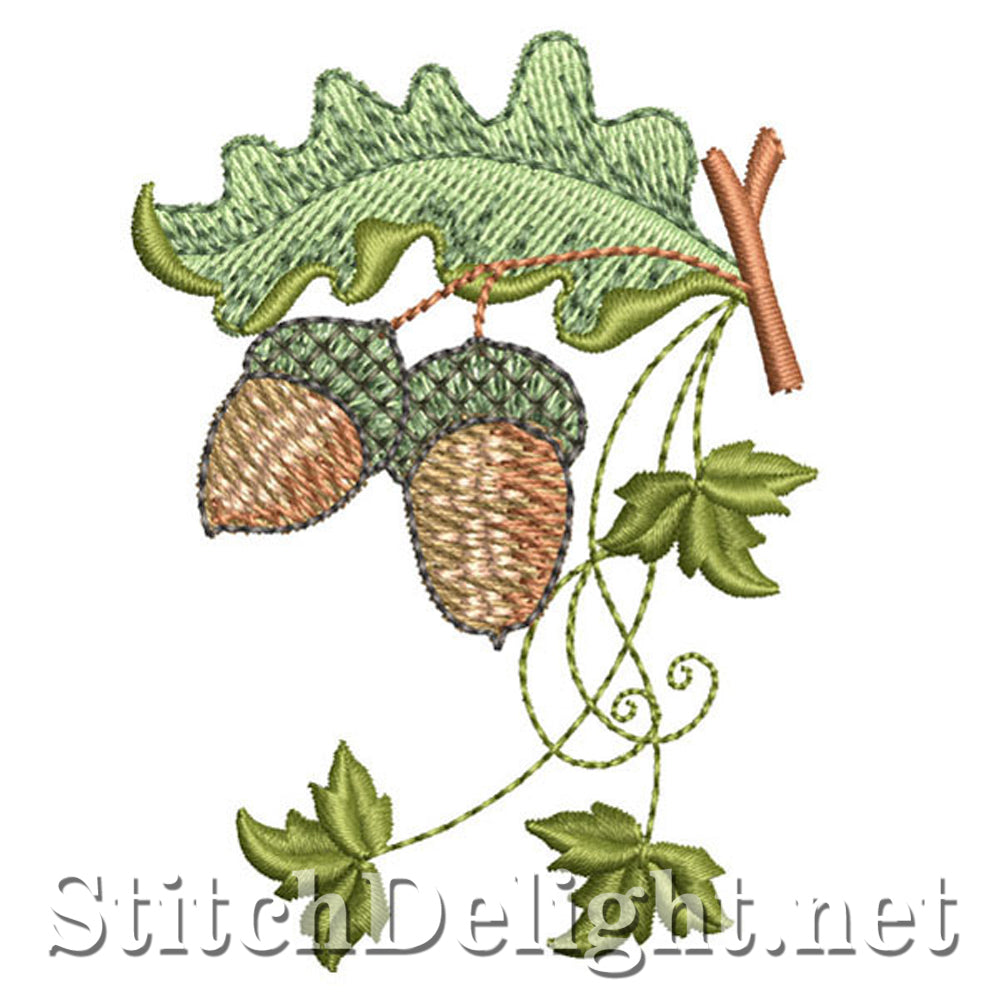 SDS0029 Acorns