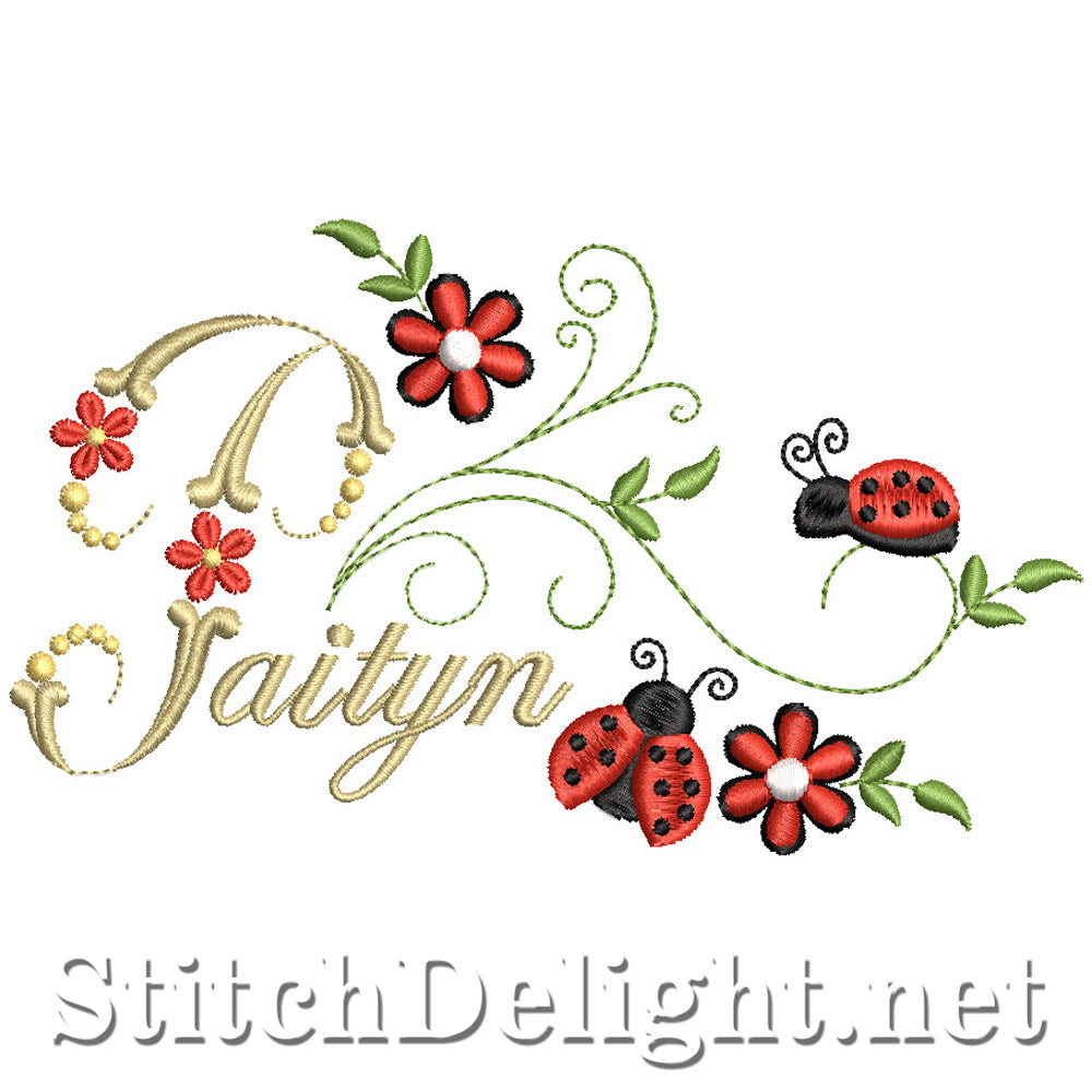 SDS2532 Paityn