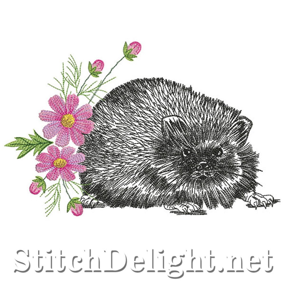 SDS0771 Cosmos Hedgehog