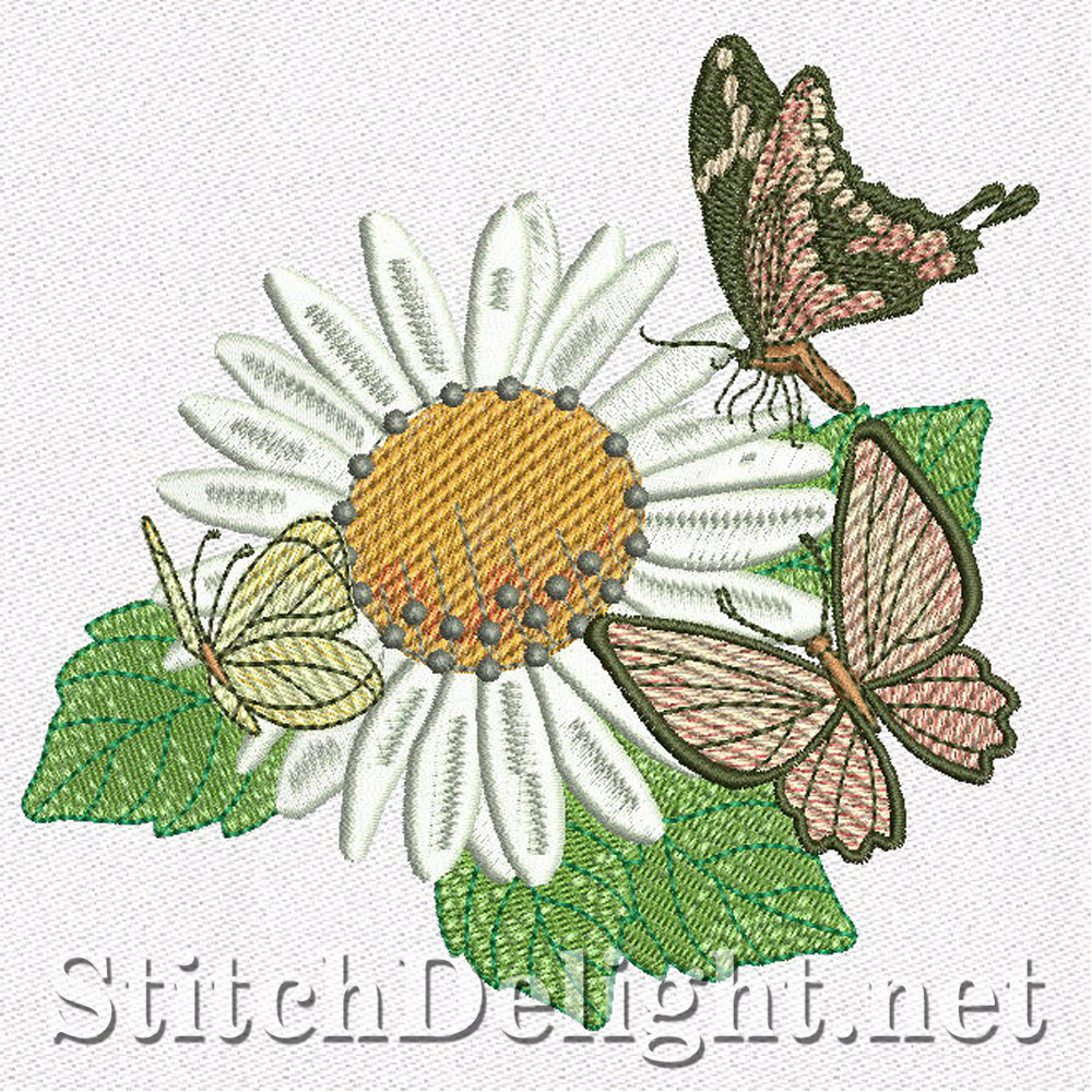 SD1161 Daisy Dreams