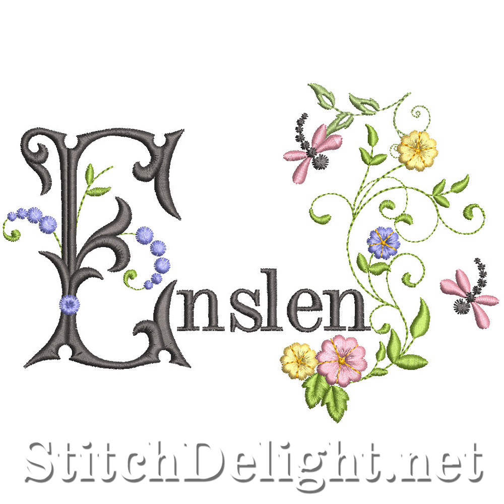 SDS2425 Enslen
