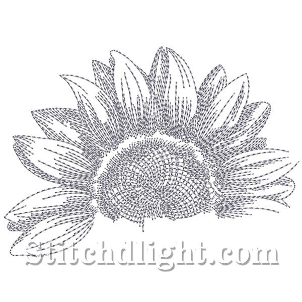 SD1443 Croquis Crayon Tournesol