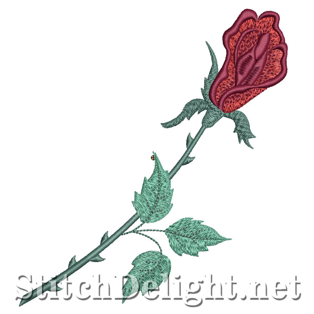 SDS1580 Rainbow Roses