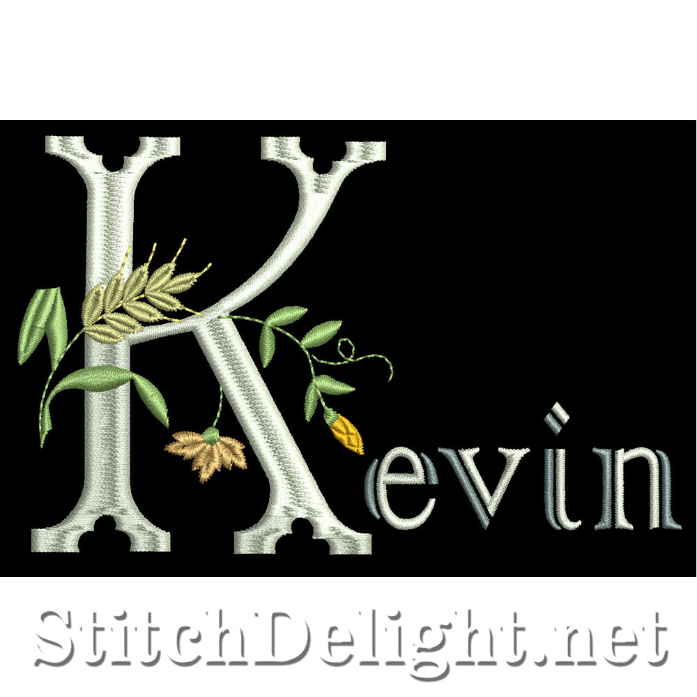 SDS1093 Kevin