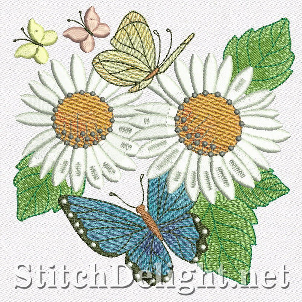 SD1161 Daisy Dreams