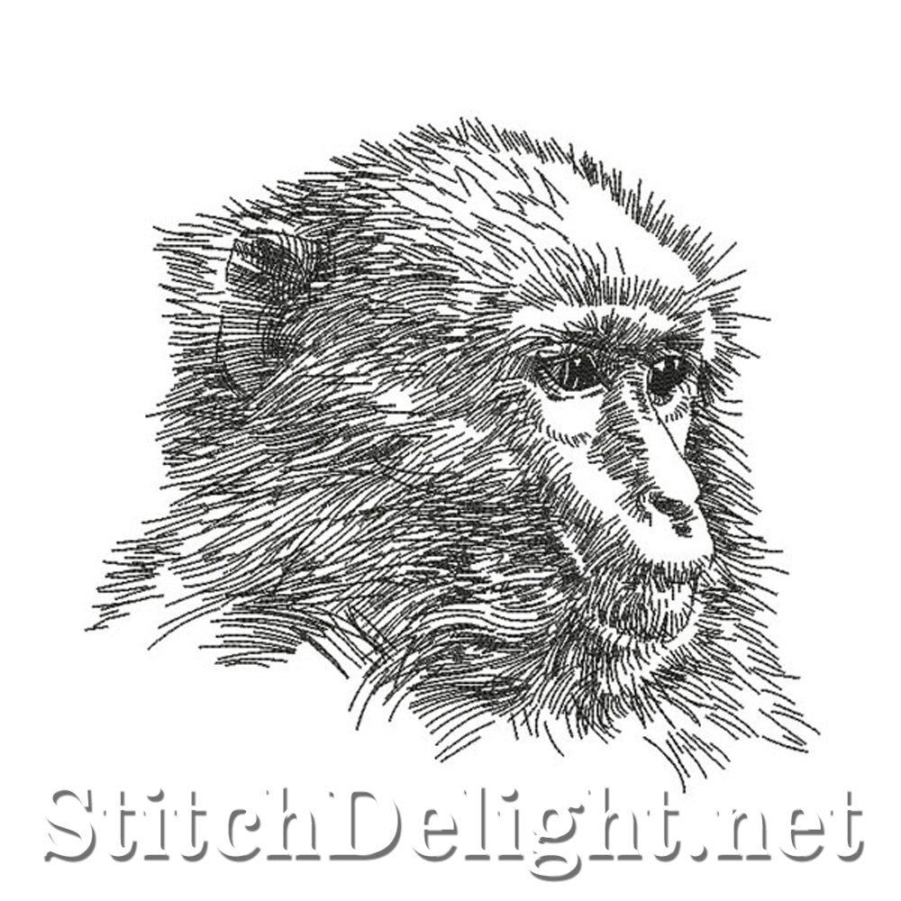 SDS0772 Singe de croquis au crayon