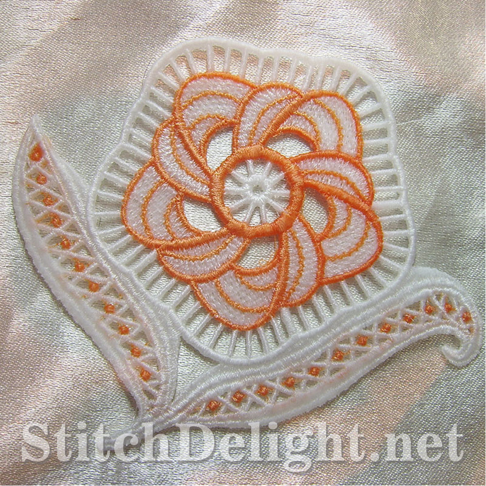 AE046 FSL Motifs