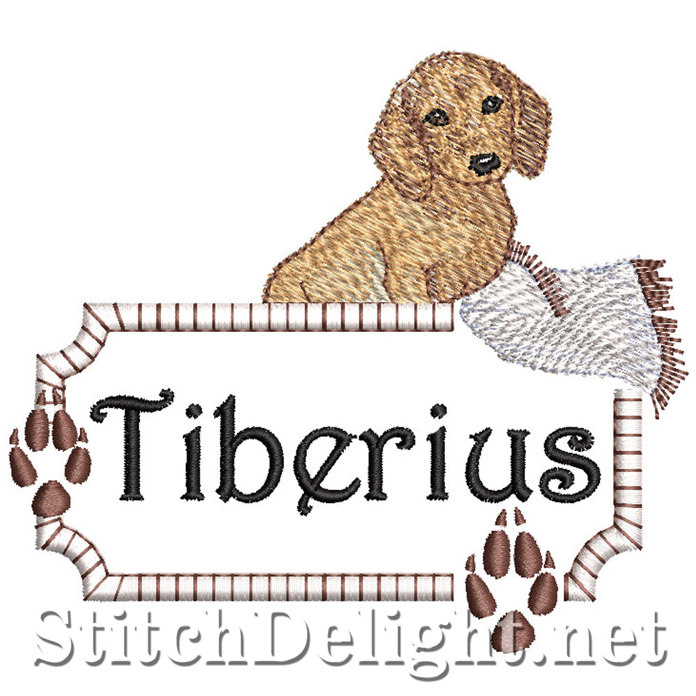 SDS2759 Tiberius