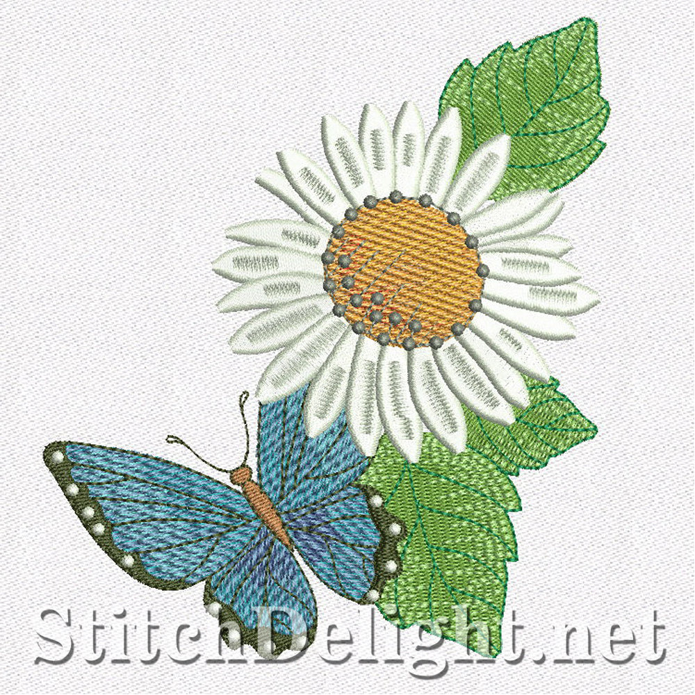 SD1161 Daisy Dreams