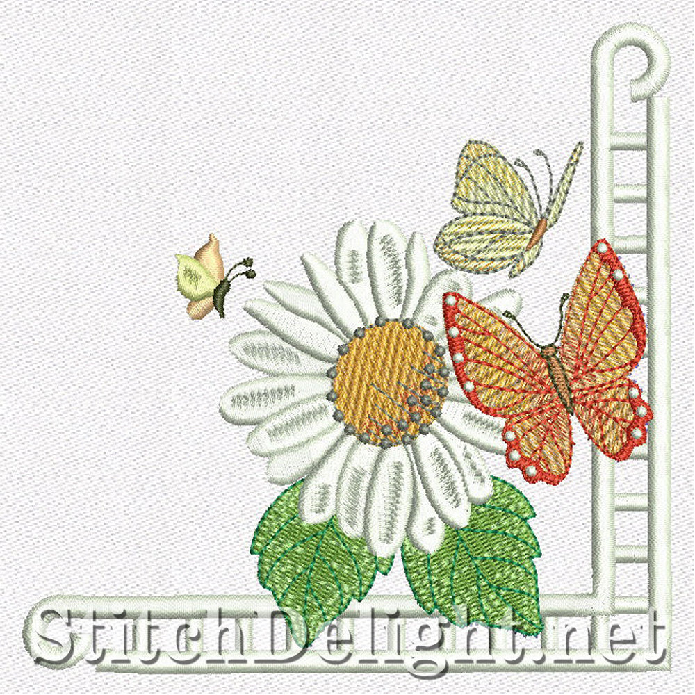 SD1161 Daisy Dreams