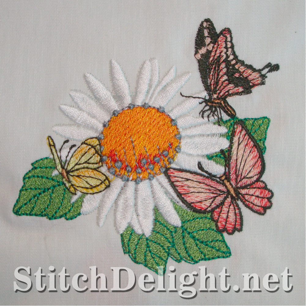 SD1161 Daisy Dreams