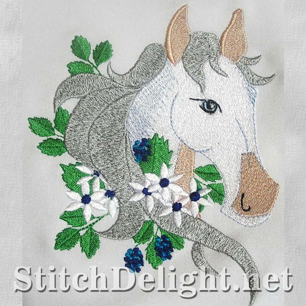 SDS3111 Horses