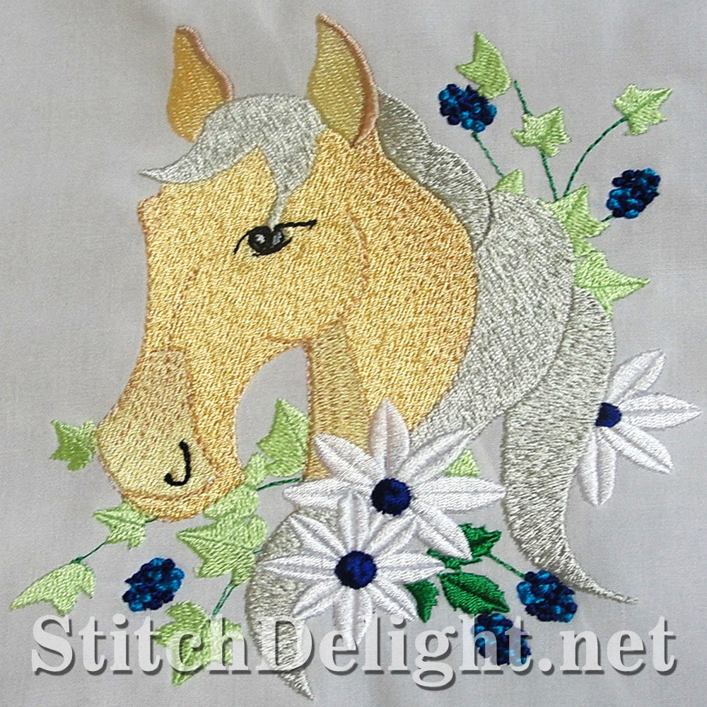 SDS3111 Horses