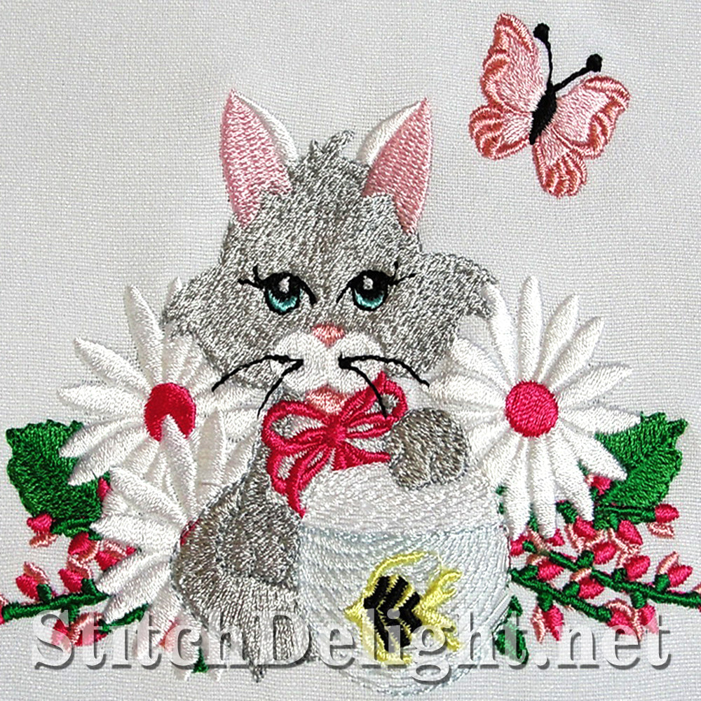 SDS3115 Kitty Kat Single 1