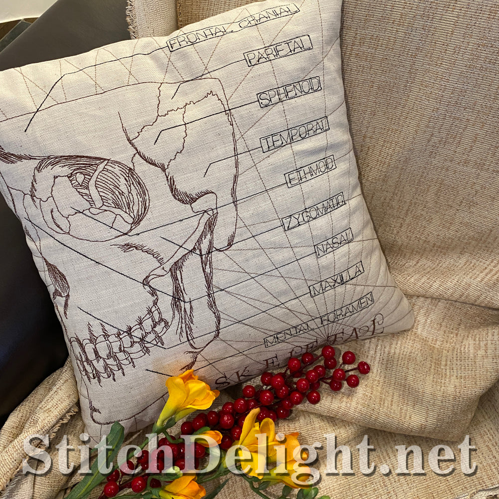 SDS3130 Skeletal Skull 8X12